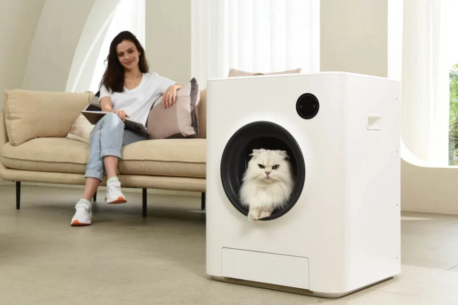 odorless cat box